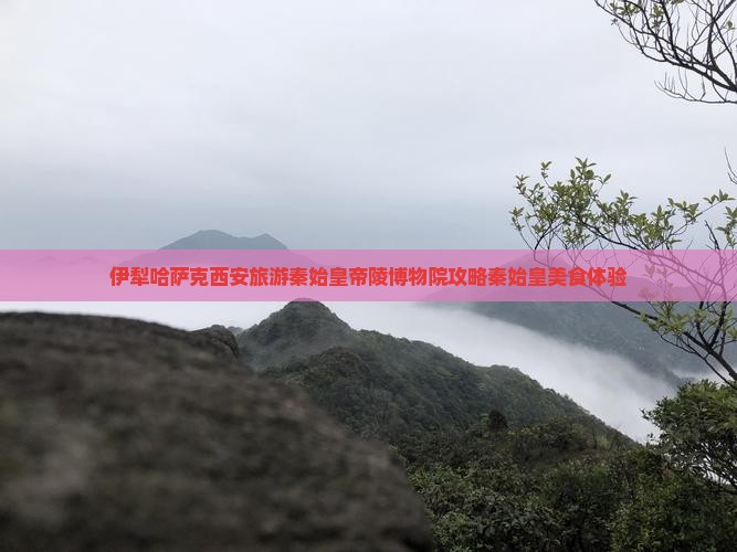 伊犁哈萨克去西安秦始皇帝陵博物院旅游小吃