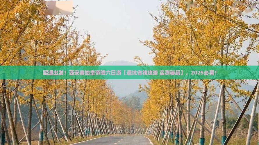 昭通去西安秦始皇帝陵博物院六日游