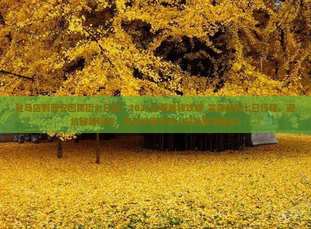 驻马店到西安回民街七日游