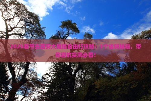 春节去西安大雁塔自由行