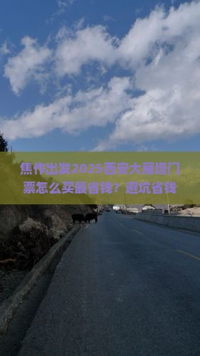 焦作到西安大雁塔门票