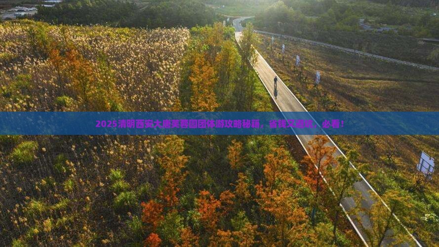 清明节去西安大唐芙蓉园团体旅游