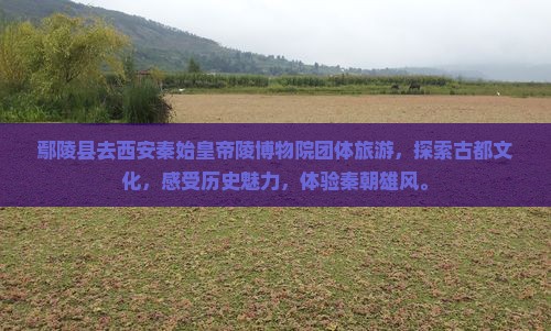 鄢陵县去西安秦始皇帝陵博物院团体旅游