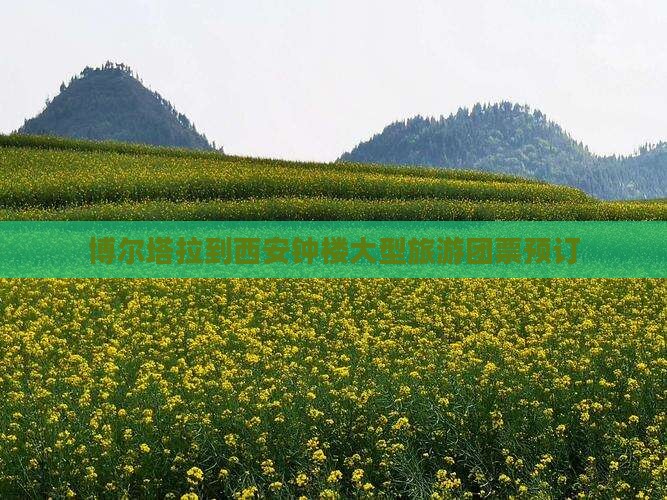 博尔塔拉到西安钟楼大型旅游团