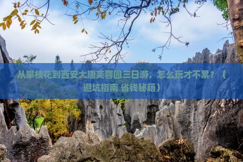 攀枝花到西安大唐芙蓉园三日游
