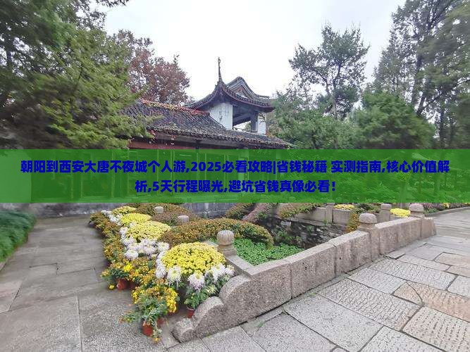 朝阳到西安大唐不夜城个人游