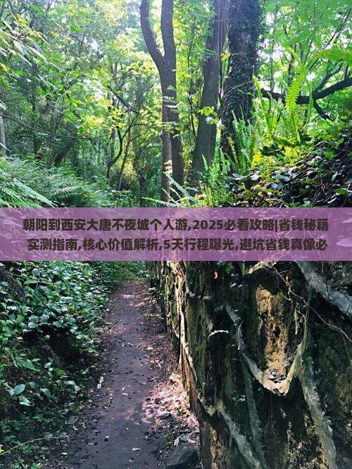 朝阳到西安大唐不夜城个人游