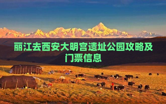 丽江去西安大明宫国家遗址公园门票