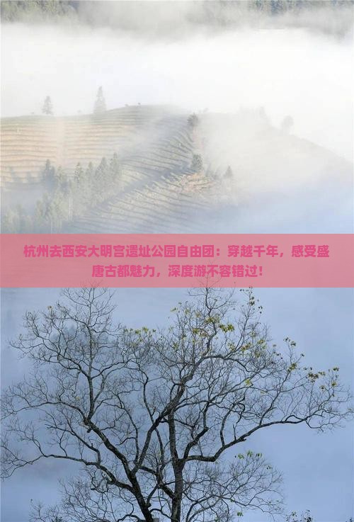 杭州去西安大明宫国家遗址公园自由团
