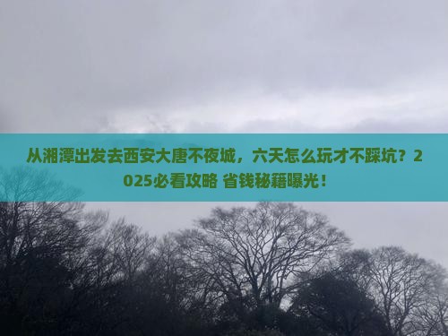 湘潭到西安大唐不夜城六日游