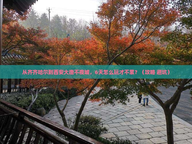 齐齐哈尔去西安大唐不夜城六日游