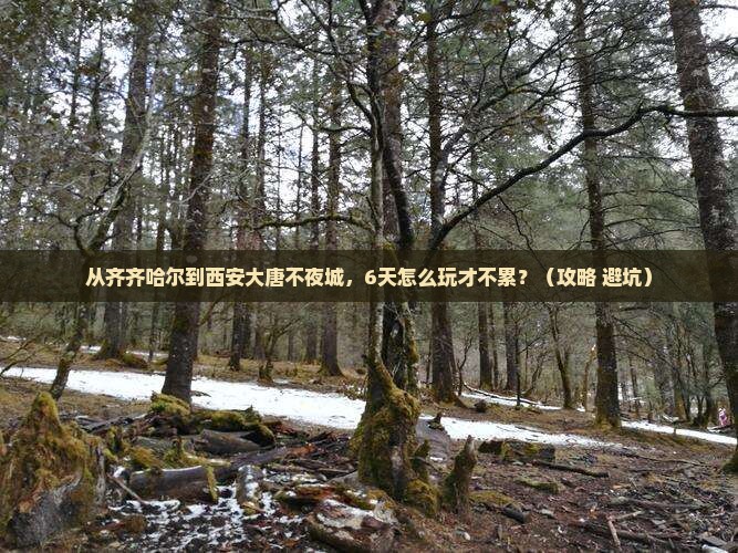 齐齐哈尔去西安大唐不夜城六日游