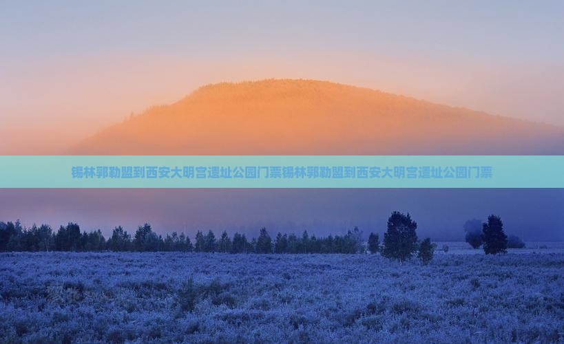 锡林郭勒盟到西安大明宫国家遗址公园门票