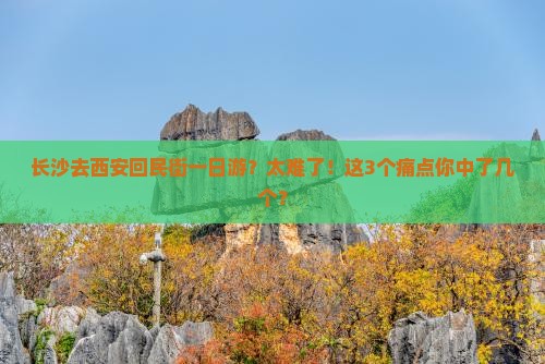 长沙去西安回民街一日游