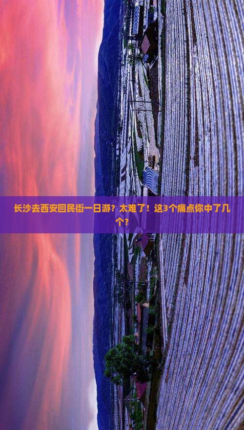 长沙去西安回民街一日游