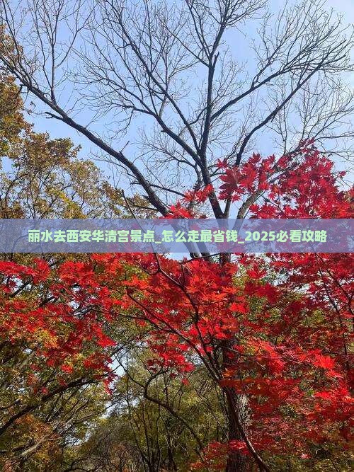 丽水去西安华清宫景点