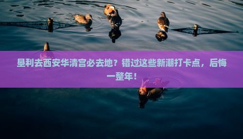 垦利去西安华清宫必去地