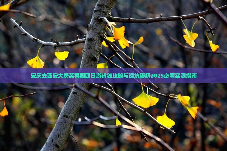 安庆去西安大唐芙蓉园四日游