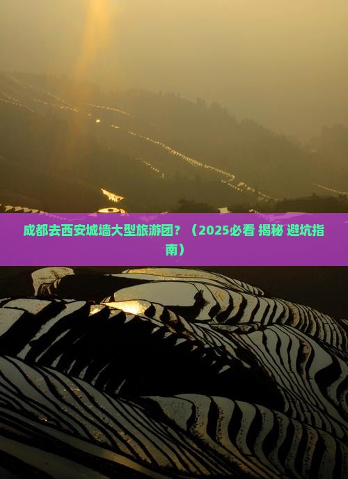 成都去西安城墙大型旅游团