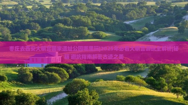 枣庄去西安大明宫国家遗址公园哪里玩