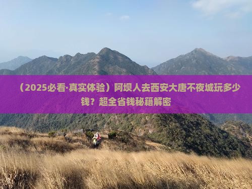 阿坝到西安大唐不夜城景点