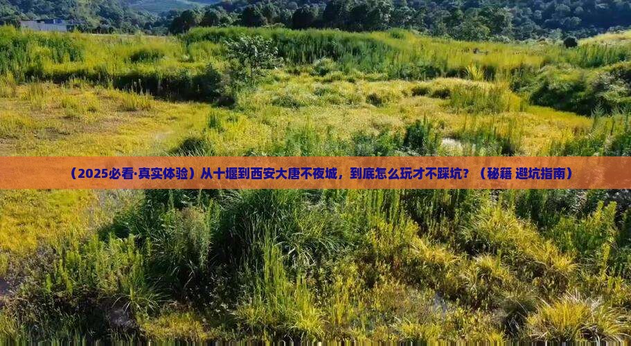十堰到西安大唐不夜城必去地