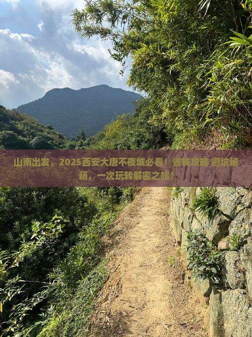 山南到西安大唐不夜城旅行社