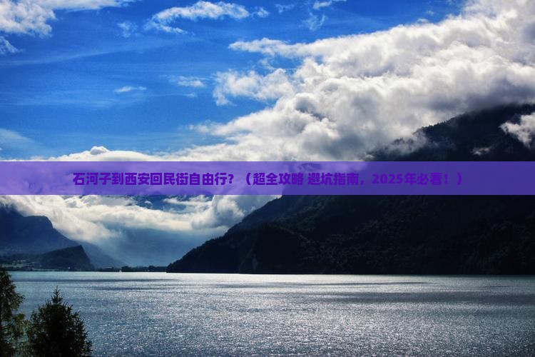 石河子到西安回民街自由行