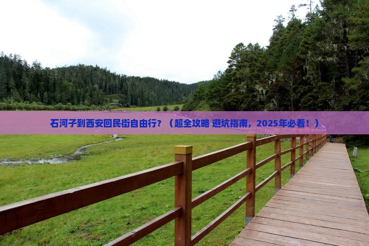 石河子到西安回民街自由行
