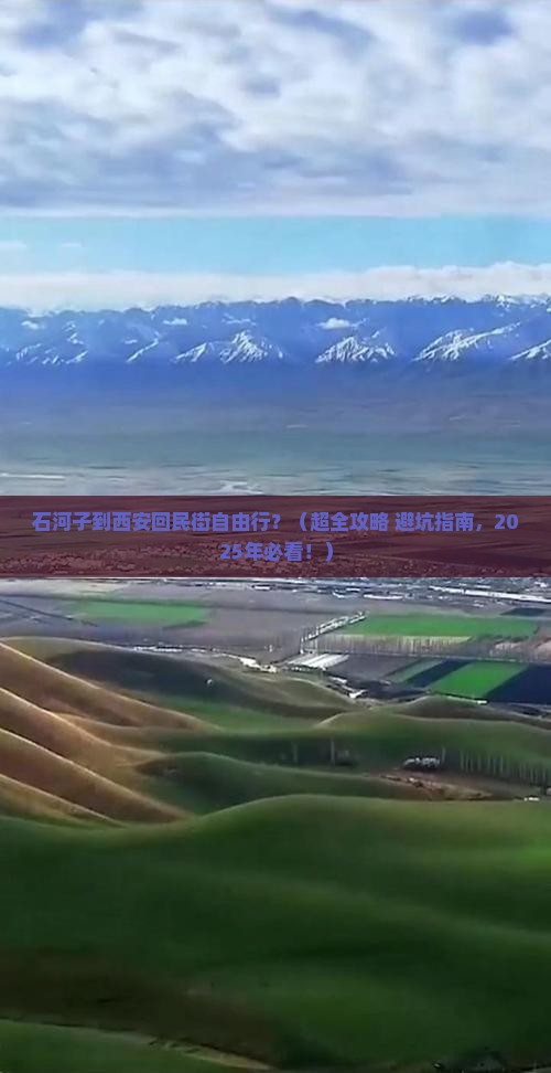 石河子到西安回民街自由行