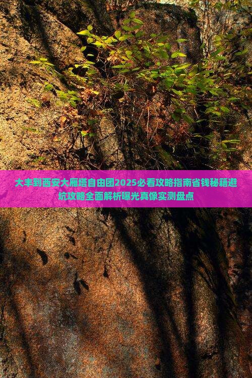 大丰到西安大雁塔自由团
