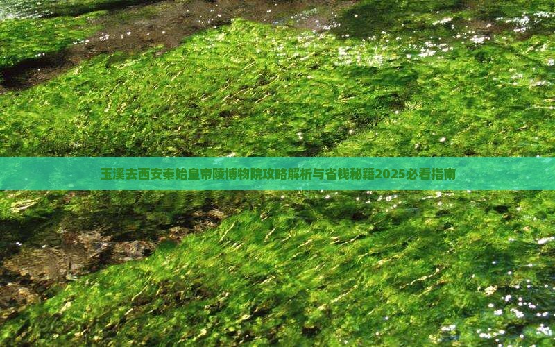 玉溪去西安秦始皇帝陵博物院攻略 玉溪去西安秦始皇帝陵博物院攻略
