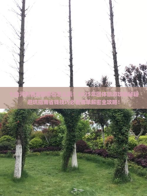 七台河到西安回民街团体旅游
