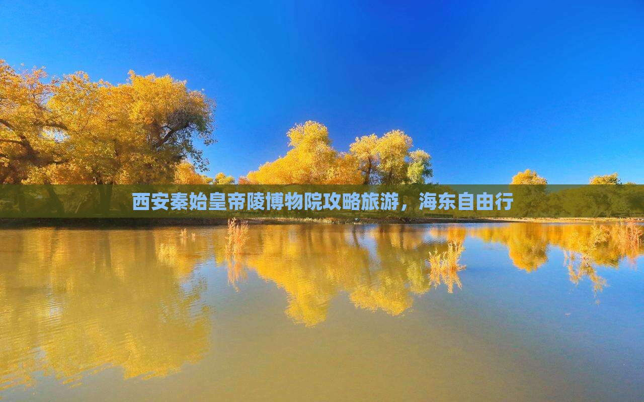 海东去西安秦始皇帝陵博物院自由行 海东去西安秦始皇帝陵博物院自由行