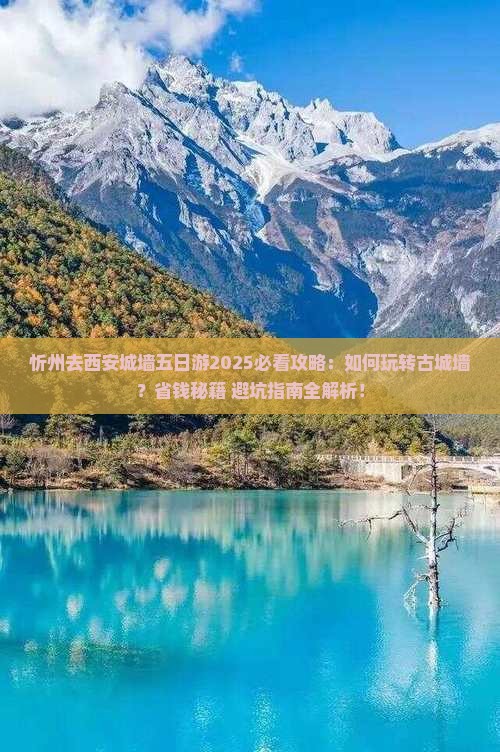 忻州去西安城墙五日游