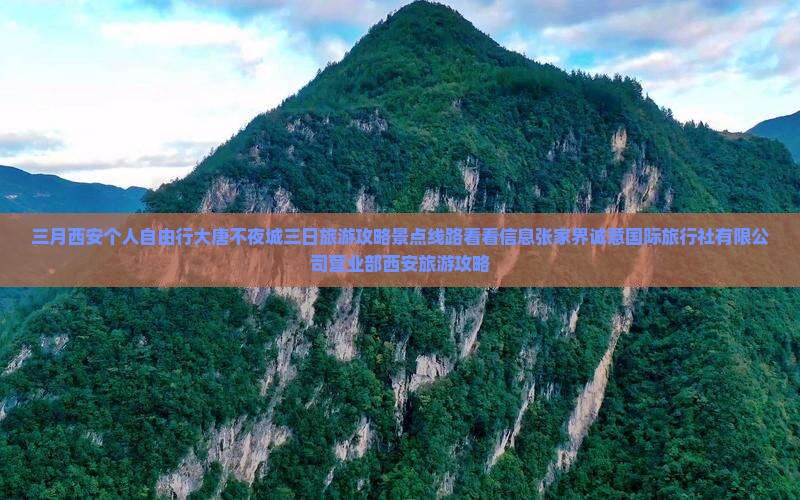 三月去西安大唐不夜城个人游