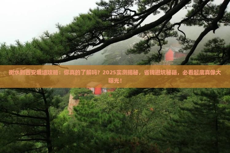 衡水到西安城墙攻略