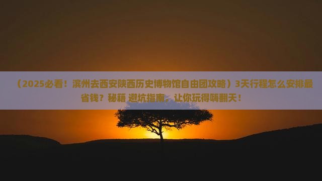 滨州去西安陕西历史博物馆自由团