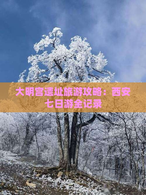 鹤岗去西安大明宫国家遗址公园七日游