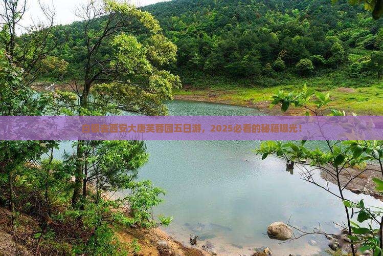 白银去西安大唐芙蓉园五日游