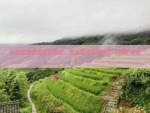 长治到西安大明宫国家遗址公园个人游