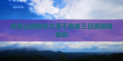 武夷山到西安大唐不夜城三日游