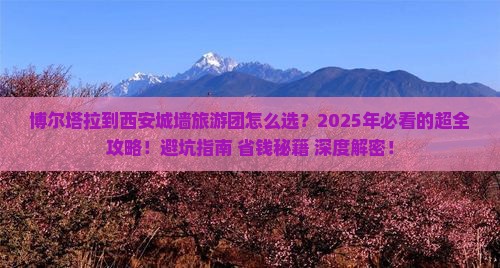 博尔塔拉到西安城墙大型旅游团