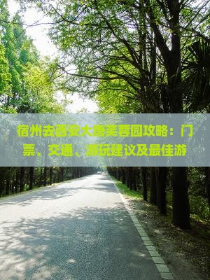 宿州去西安大唐芙蓉园攻略