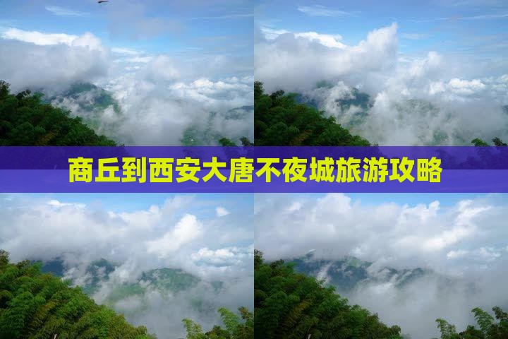 商丘到西安大唐不夜城旅游