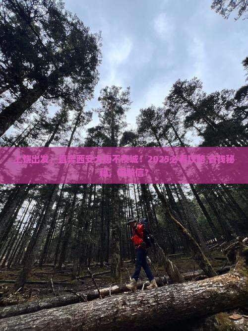 上饶去西安大唐不夜城个人游