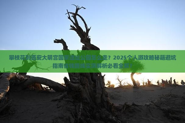 攀枝花到西安大明宫国家遗址公园个人游