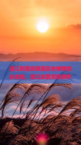 湛江到西安陕西历史博物馆必去地