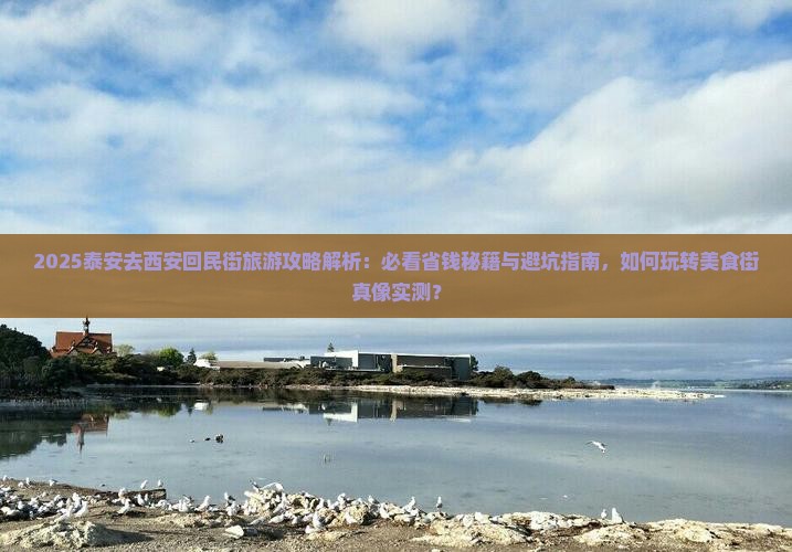 泰安去西安回民街旅游