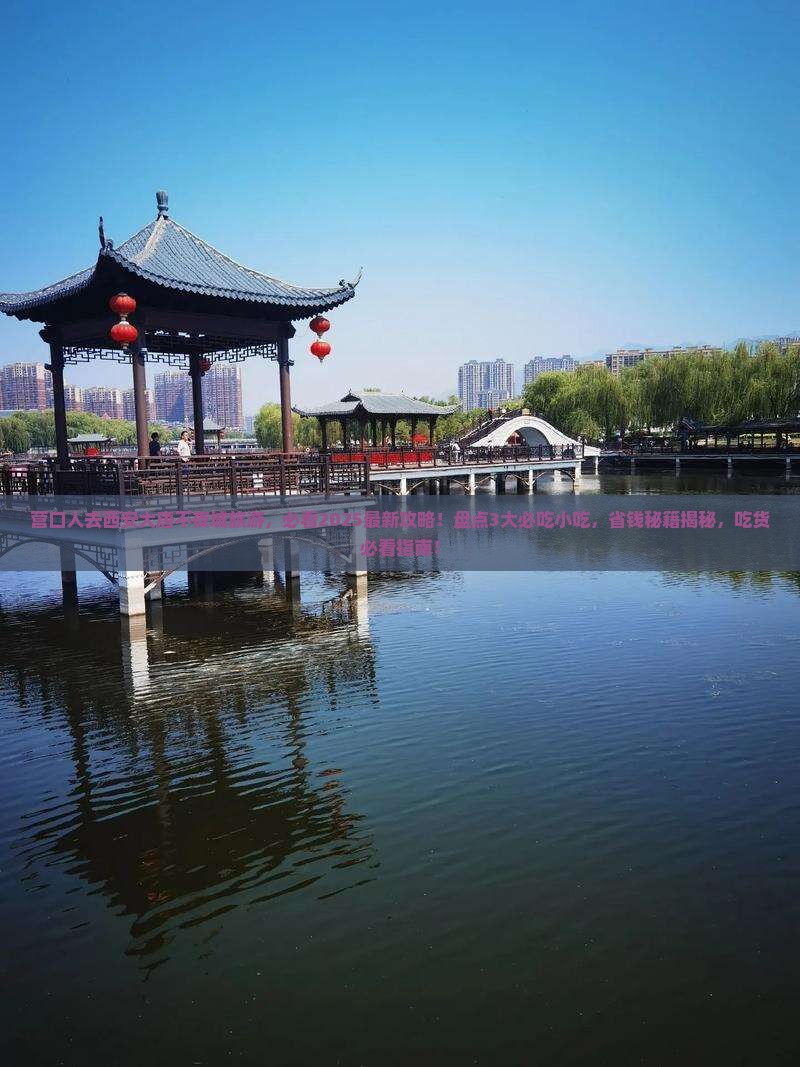 营口去西安大唐不夜城旅游小吃